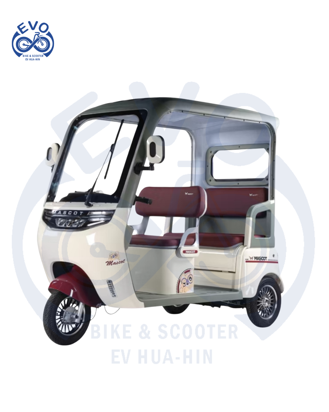  Electric Three-Wheeled Scooter with Roof 1200W