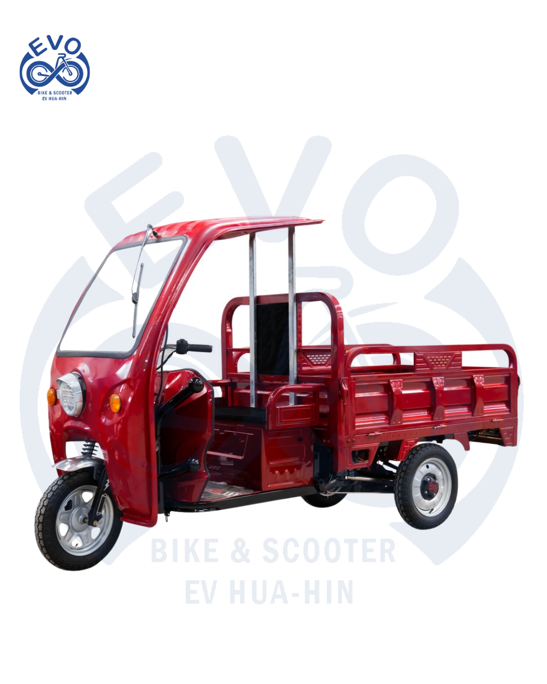  Electric Three-Wheeled Scooter with Roof 1000W