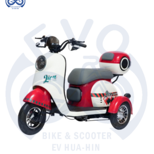 ​ Electric Three-Wheeled Scooter 600W