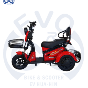 ​ Electric Three-Wheeled Scooter 800W