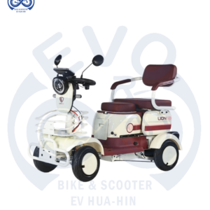 ​ Electric Three-Wheeled Scooter 1000W