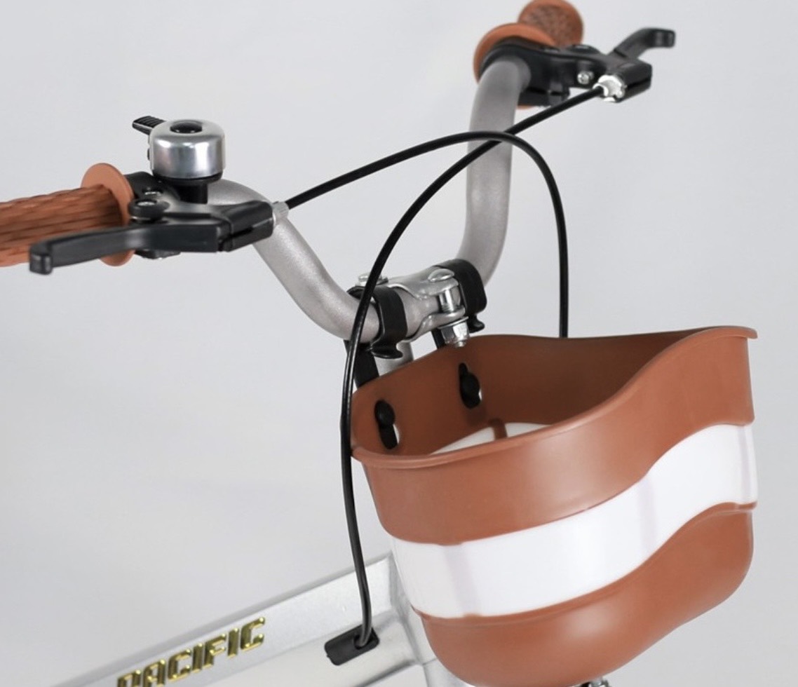  LAZER PACIFIC 18-inch Kids Bicycle – Magnesium Alloy Frame - Image 6