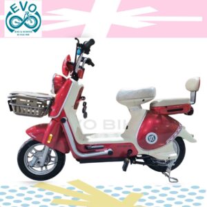 ​ 2-Wheel Electric Scooter 1,000W